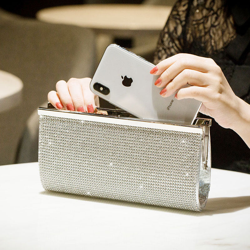 Luxe Silver Clutch Bag